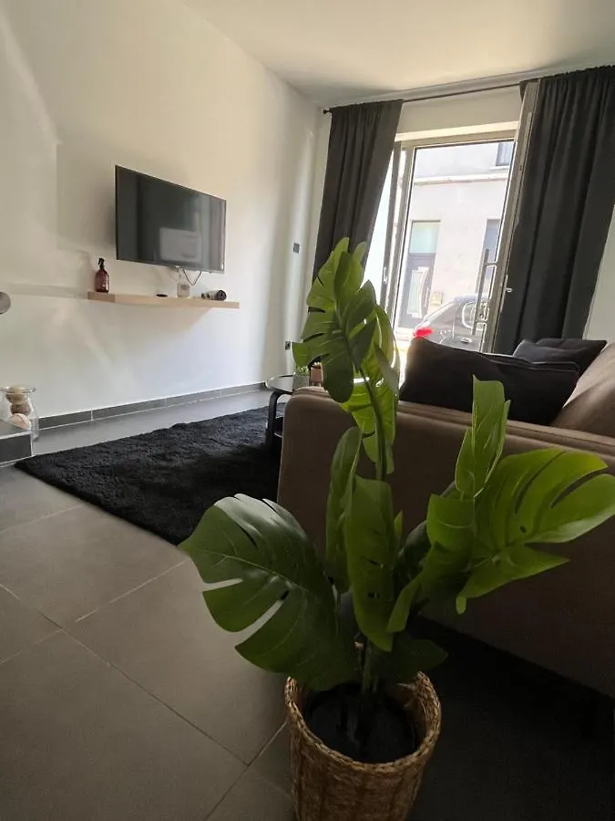 Fds Cosy Apartment 根特 0*,